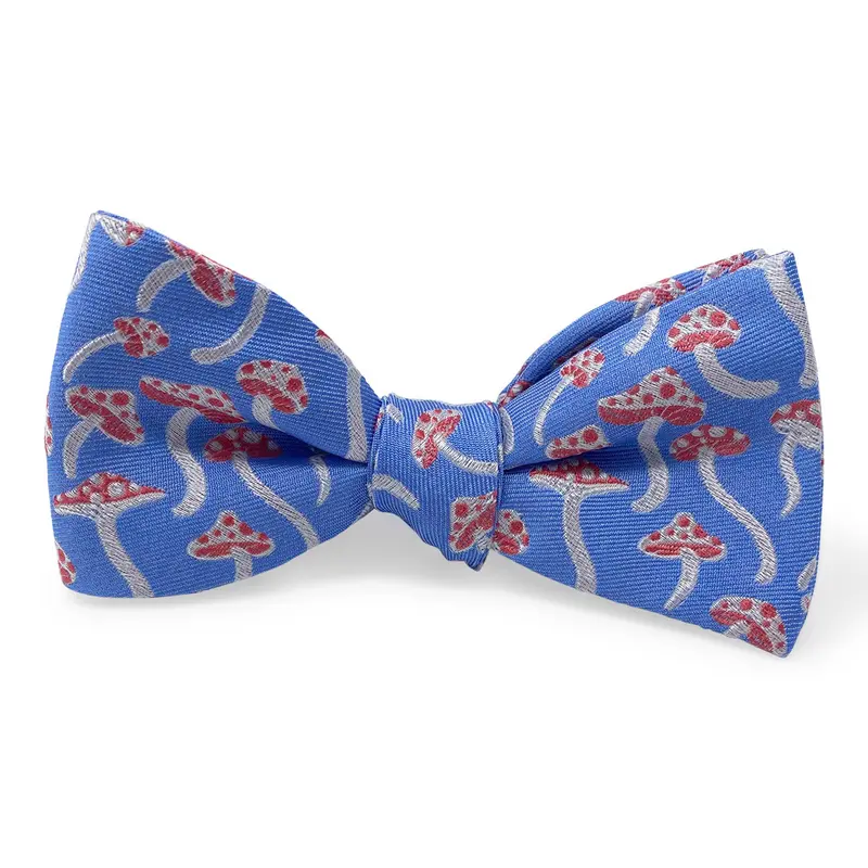 Fun Guy Blue Bow Theme 1