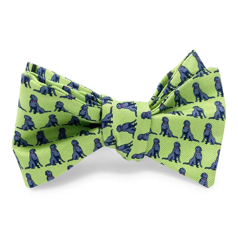 Green Bow Hair Accessory – Sit, Stay Collection 1