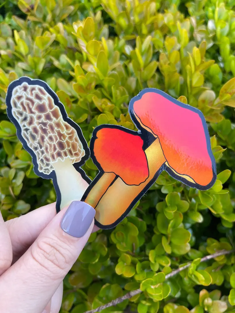 Holographic Morel & Scarlet Waxy Cap Duo Sticker 1