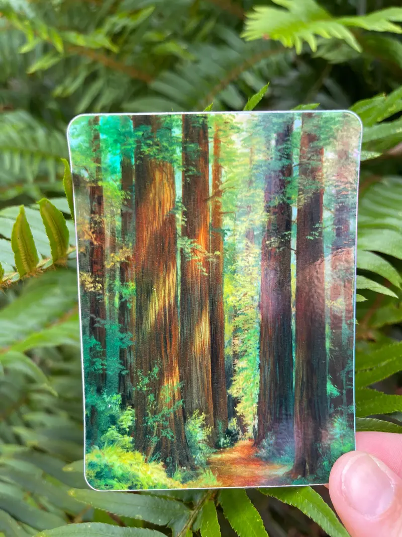 Holographic Redwood Forest Nature Sticker 1