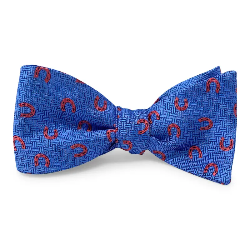 Horseshoe Surprise Blue Bow Tie 1