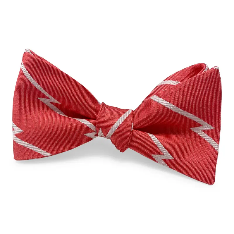 Jagger Red Bow Accessory 1