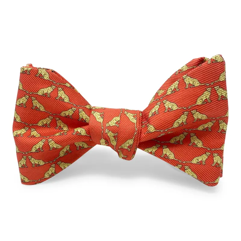 Leopard Print Orange Bow 1