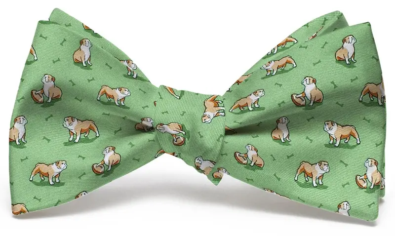 Mint Bulldog Bonanza Bow Tie 1