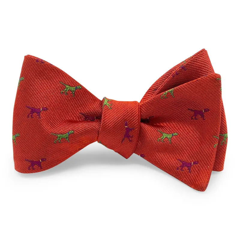 Orange Pointer Parade Hair Bow 1