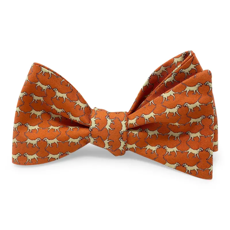 Orange Retriever Bow Accessory 1