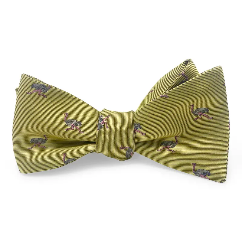 Ostrich Yellow Bow Finish 1