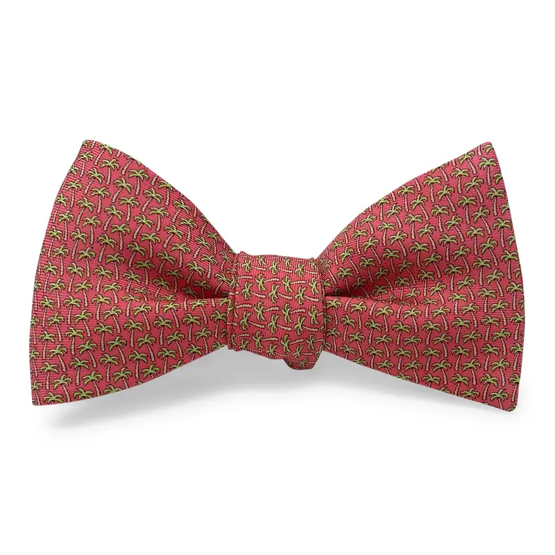 Panama Coral Bow Hair Clip 1