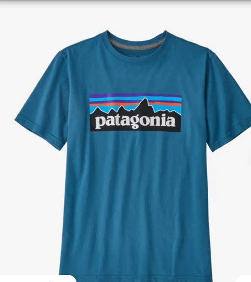 Patagonia Kids’ Regenerative Organic Certified Logo Tee – Sustainable Youth Apparel