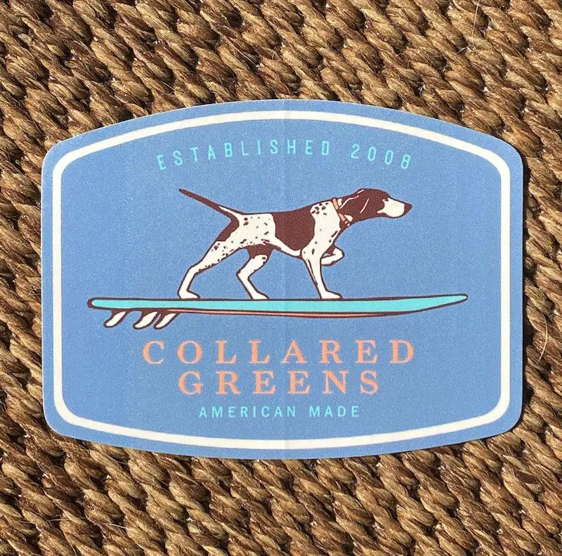 Pointer Surfer Sticker In Aquamarine 1