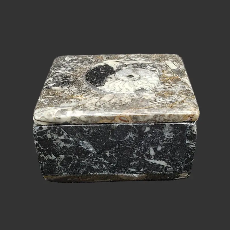 Polished Ammonite Fossil Trinket Box – Vintage-Inspired Storage 1