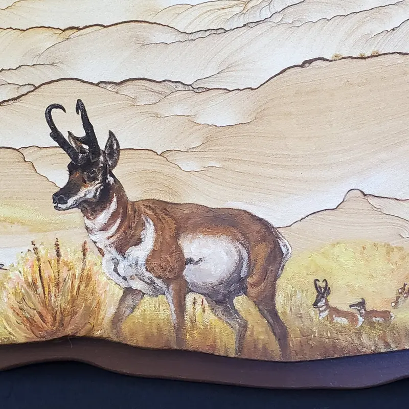 Pronghorn Antelope Painting – Southwest Wildlife Art On Sandstone 1