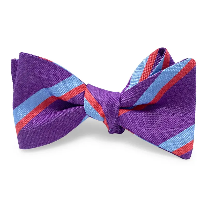 Purple Essex Bow Tie 1