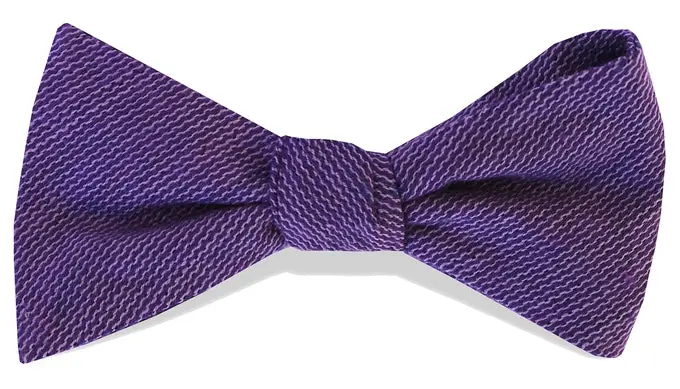 Purple Sudbury Solid Bow Tie 1