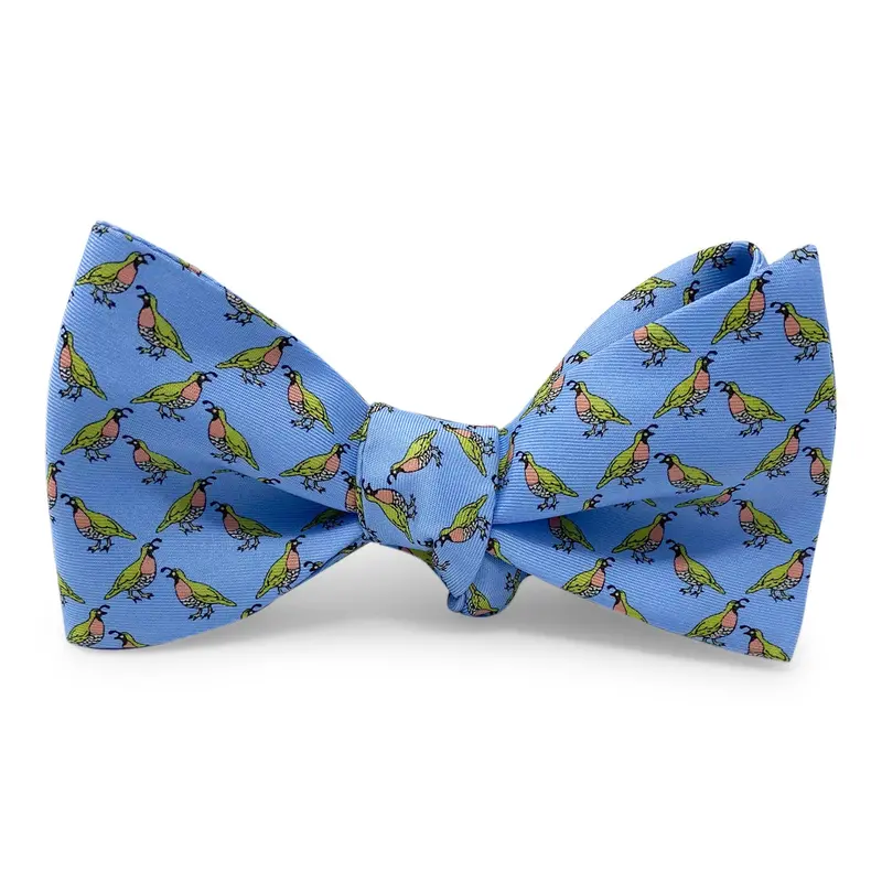 Quail Blue Bow Tie 1