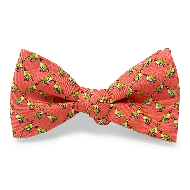 Quail Bow In Coral 1