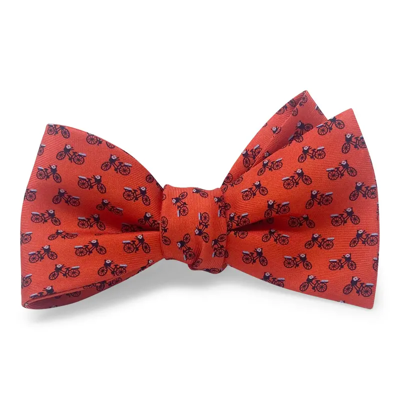 Red Basket & Bike Hair Bow 1