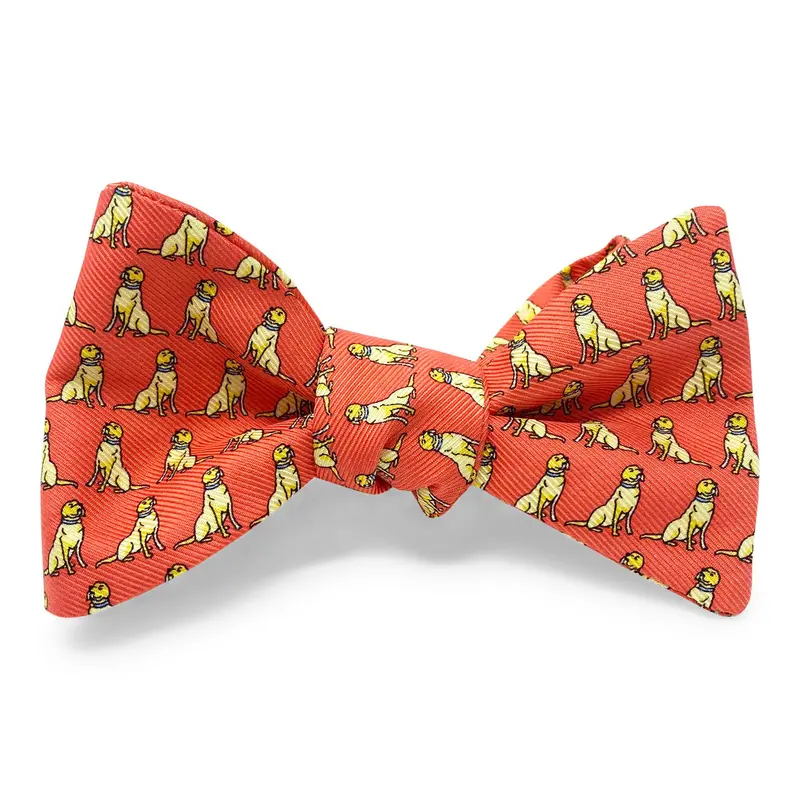 Red Bow Hair Clip – Sit, Stay Collection 1