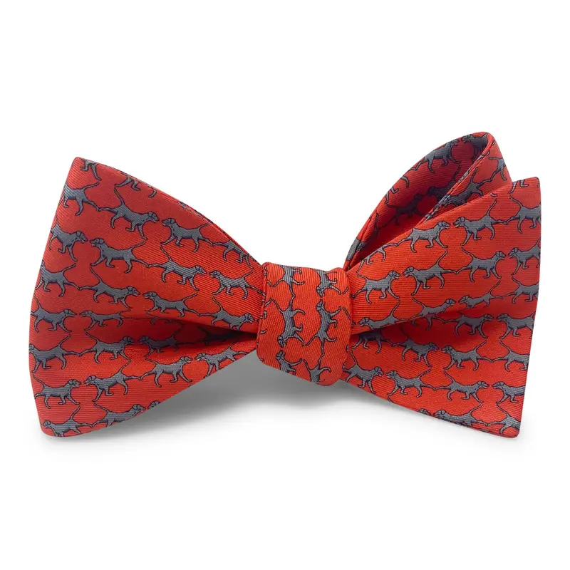 Red Retriever Dog Hair Bow 1