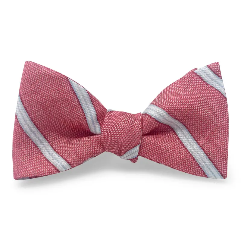 Red Sun Valley Inspired Hair Bow 1
