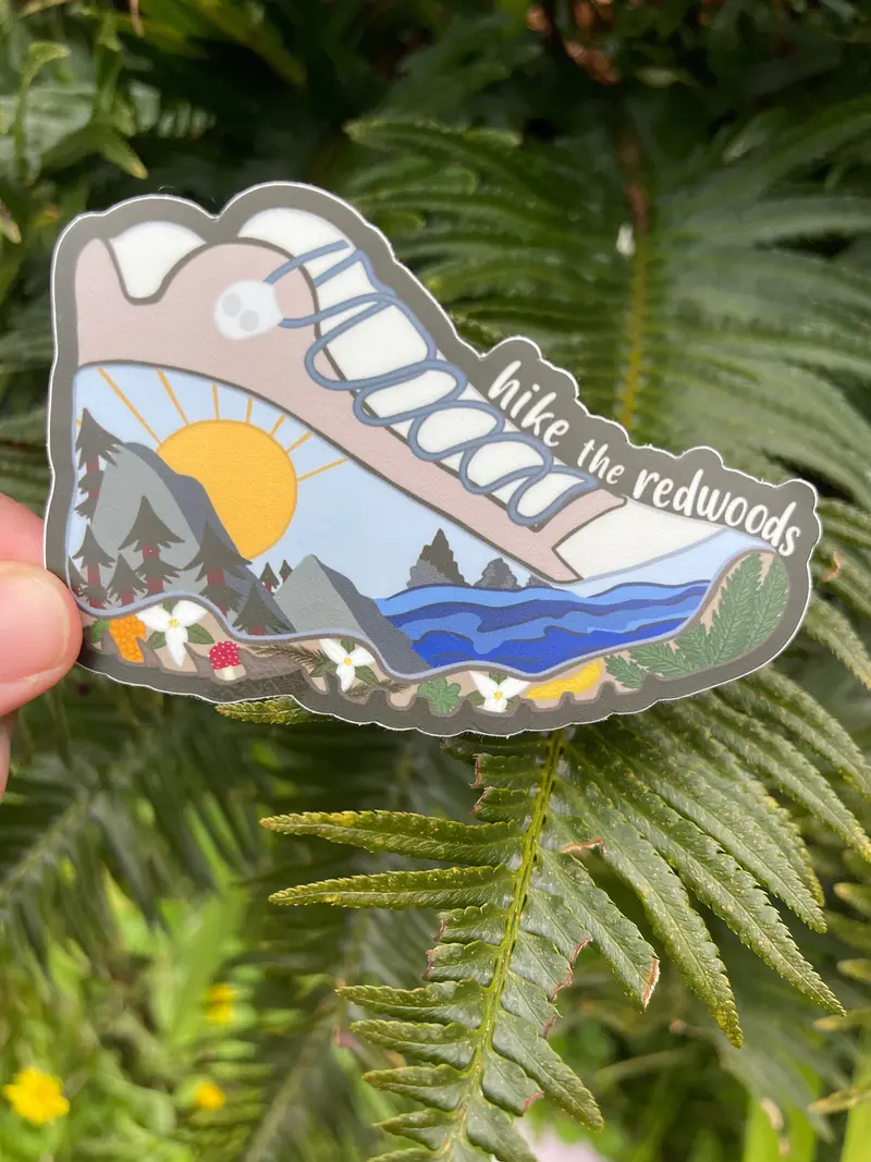 Redwood National Park Hiking Guide 1