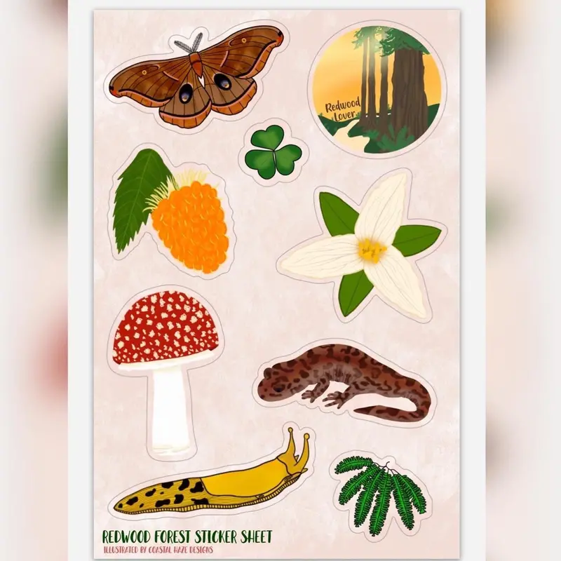 Redwood National Park Sticker Collection 1