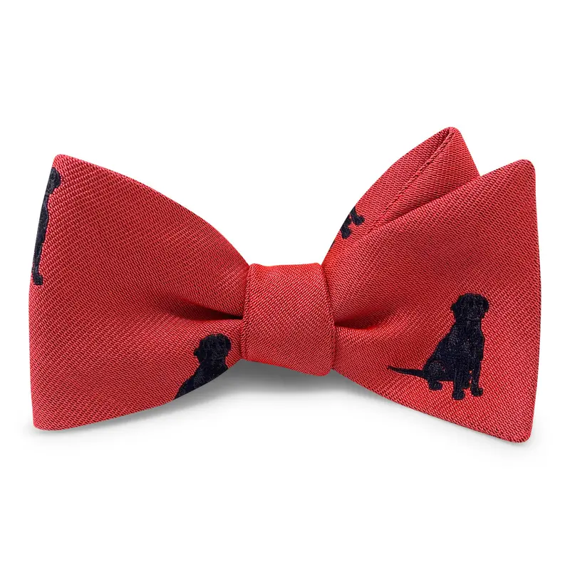 Resting Up Coral Bow Tie 1