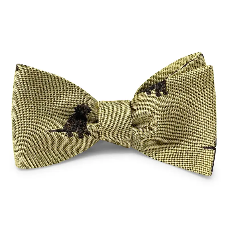 Resting Up Yellow Bow Tie 1