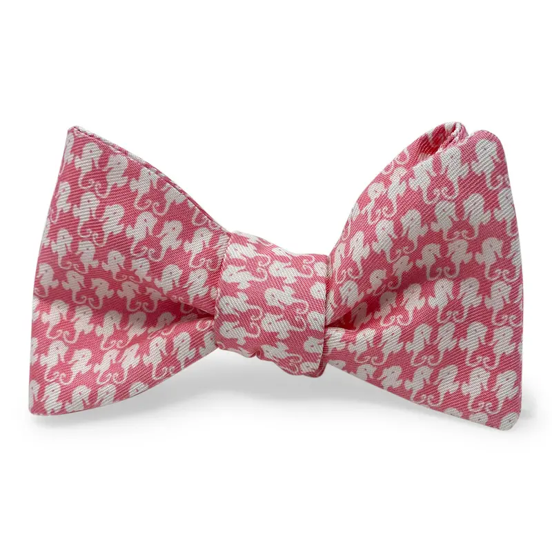 Sand Key Seahorse Coral Bow Ocean-Inspired Ribbon 1