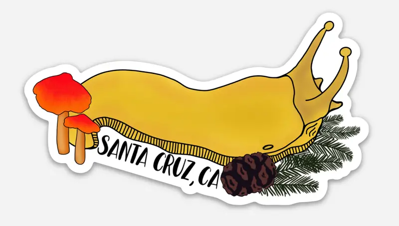 Santa Cruz Banana Slug Local Pride Sticker 1