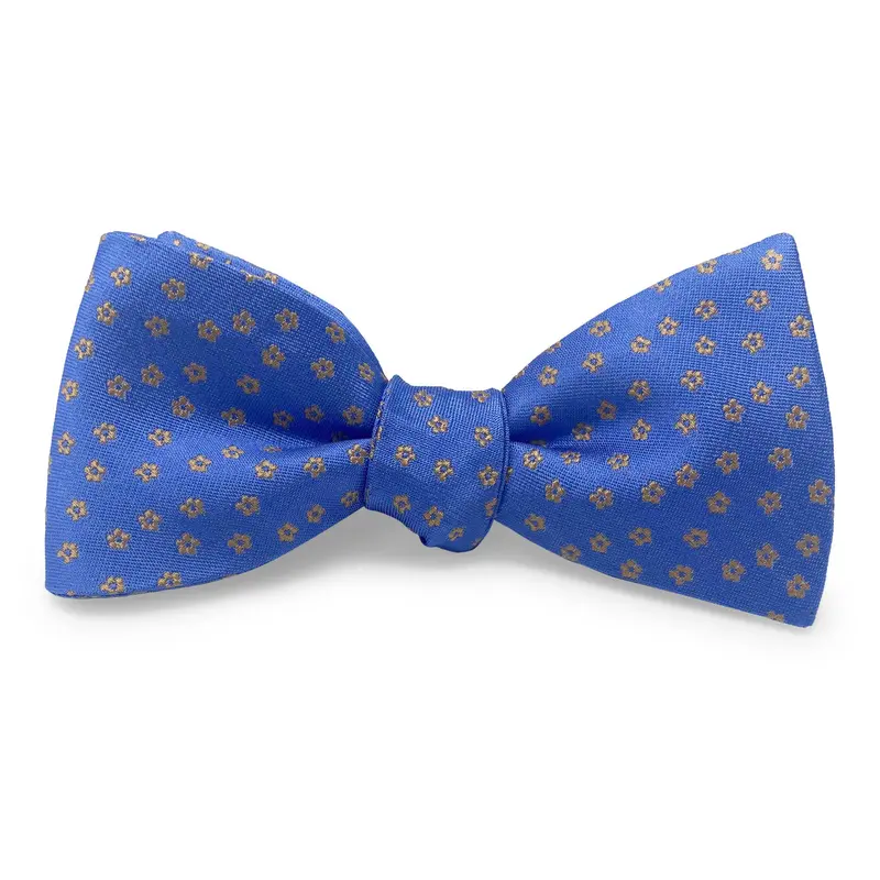 Santa Teresa Blue Bow 1