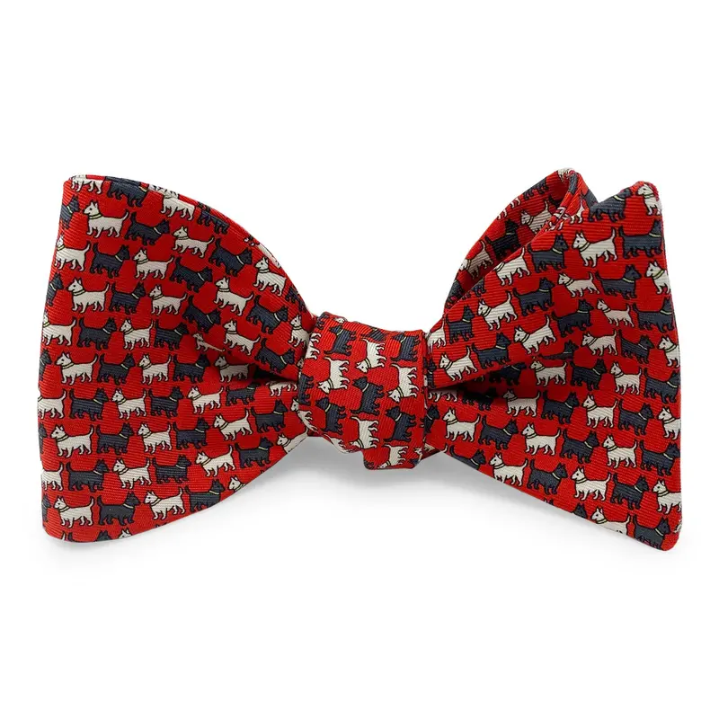 Scots Themed Bow In Red 1