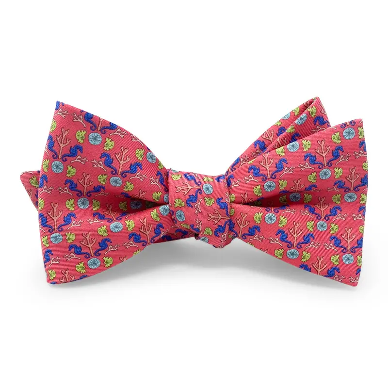 Seahorse Coral Reef Hair Bow In Coral 1