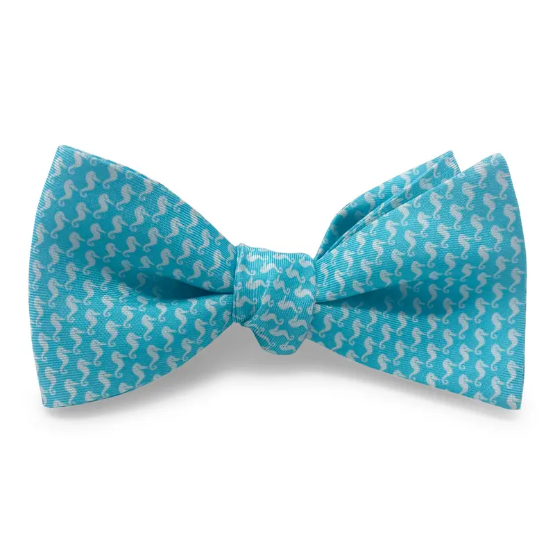 Seahorse Silhouette Aqua Bow 1