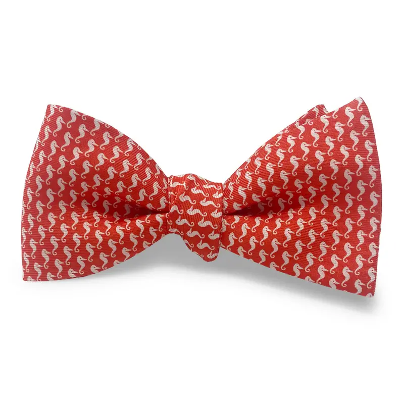 Seahorse Silhouette Coral Hair Bow 1