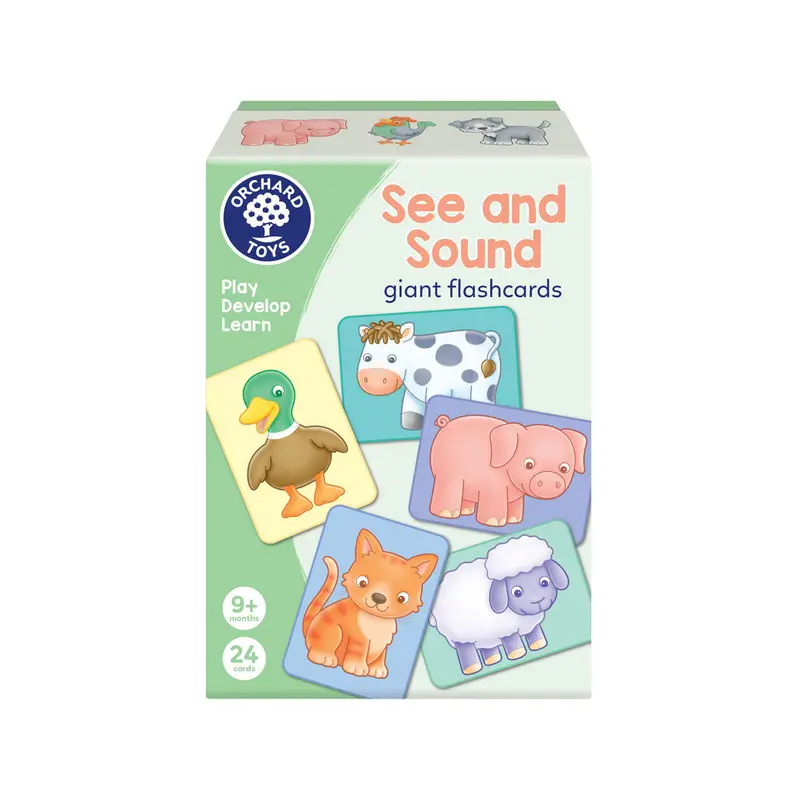 See And Sound Giant Flashcards – Visual-Auditory Learning Tool 1