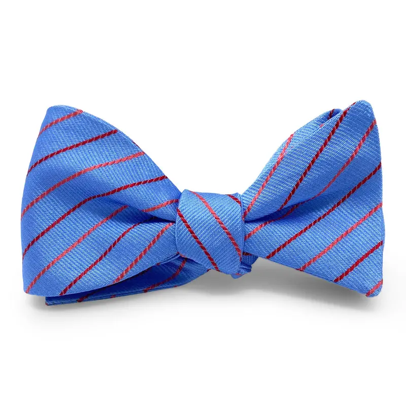 Sheppard Gingham Hair Bow In Classic Blue 1