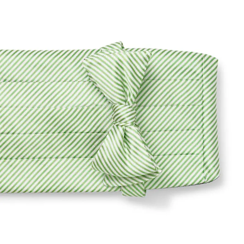 Signature Stripe Green Cummerbund Set 1