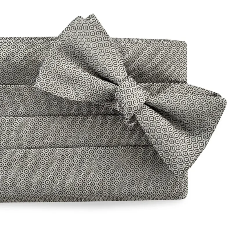 Silver Circle Dot Pattern Formal Cummerbund 1