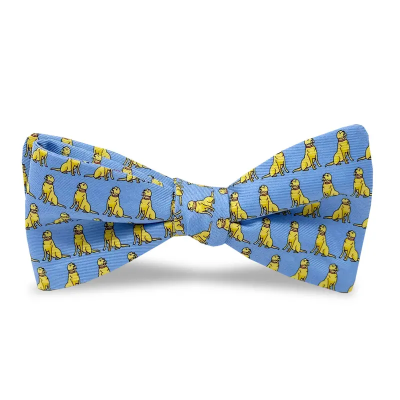 Sit Stay Blue And Yellow Dog Bow Tie 1