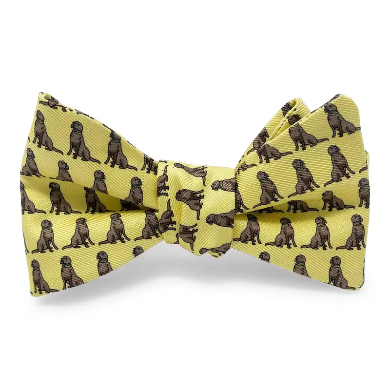Sit Stay Yellow Bow Illustration 1