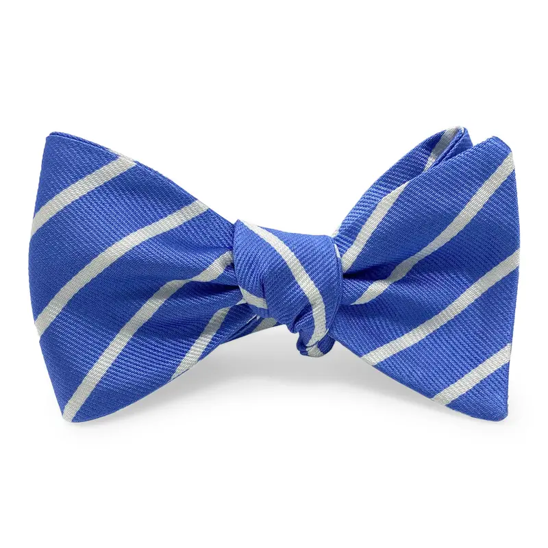 Sloan Elegant Bow In Periwinkle 1