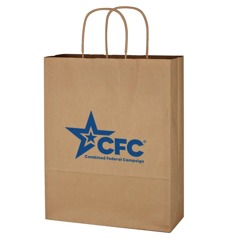 Small Brown Kraft Paper Retail Bag – 10" X 13" 1