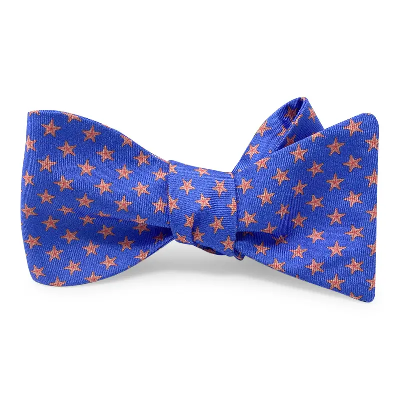 Starry Fish Blue Bow Celestial Ribbon 1