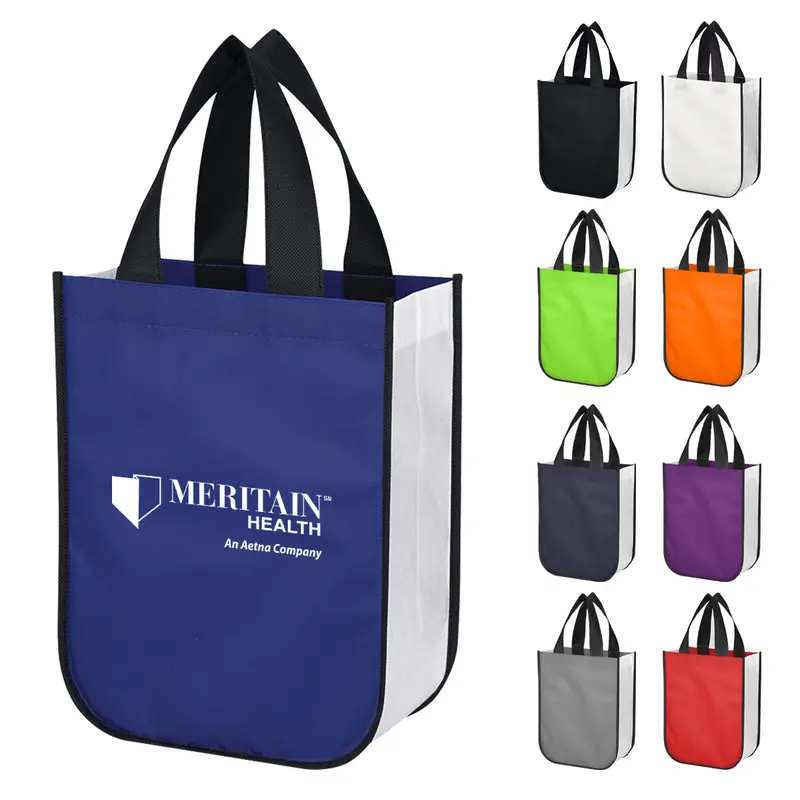 Stylish Laminated Non-Woven Lola Shopper Bag 1
