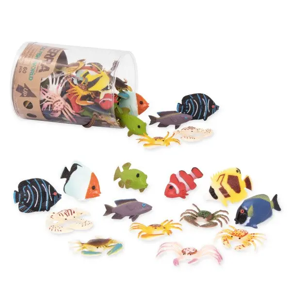 Terra Tropical Fish Discovery Tube For Kids 1