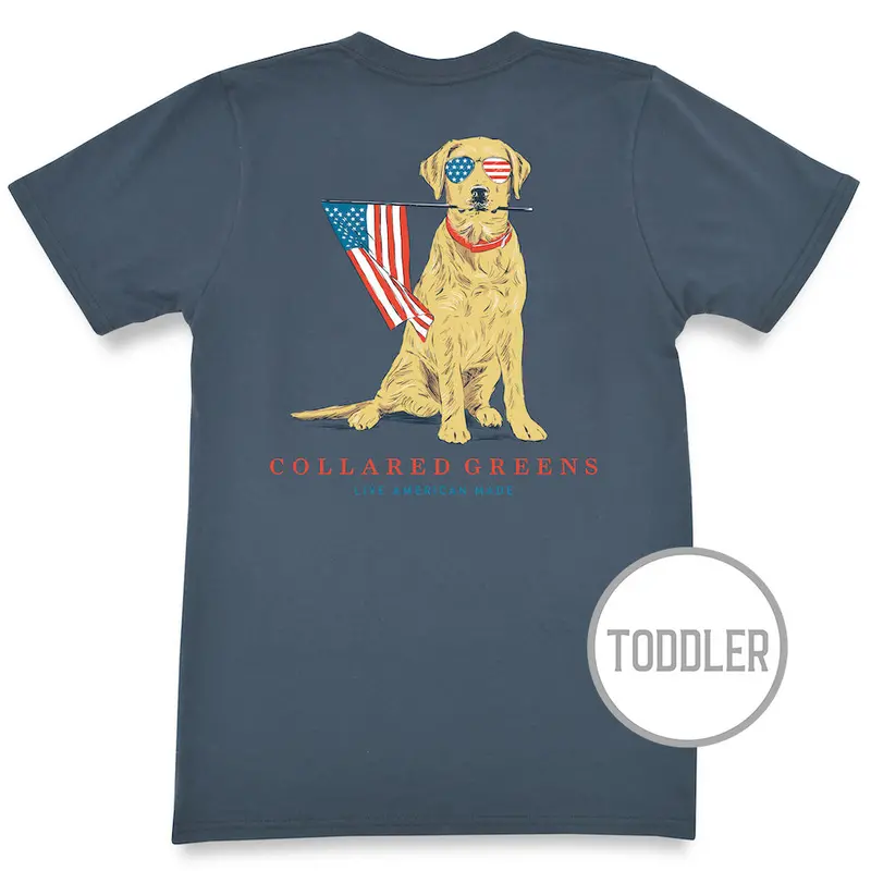 Toddler Patriotic Pup T-Shirt – Steel Blue Short Sleeve 1