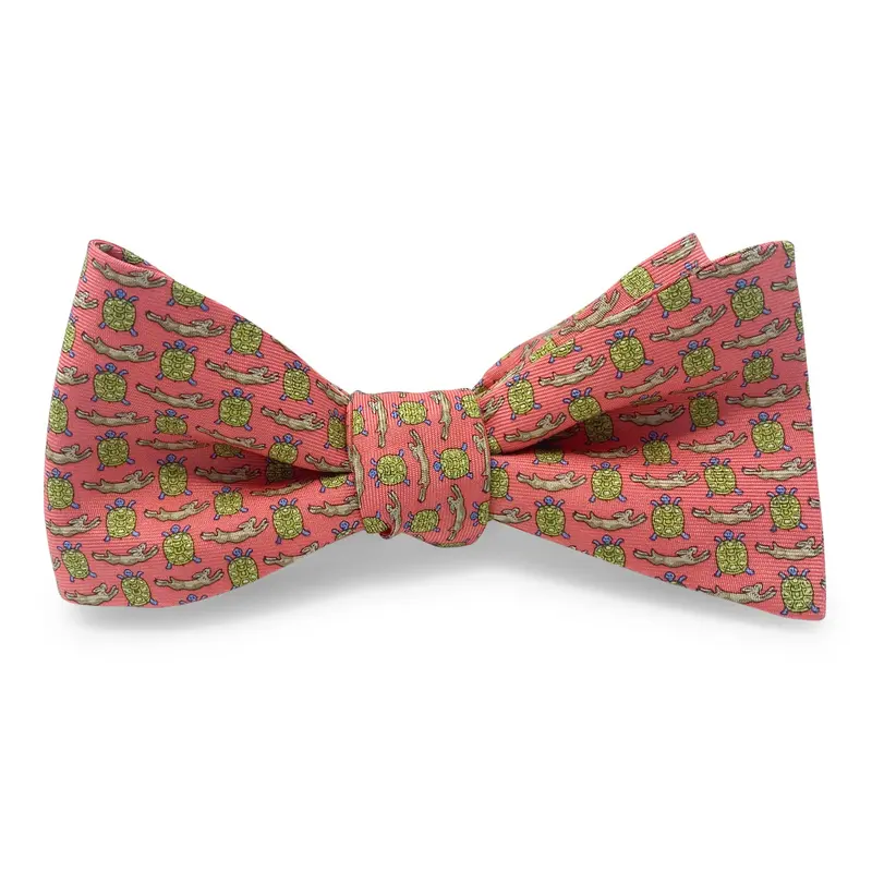 Tortoise And Hare Coral Hair Bow 1