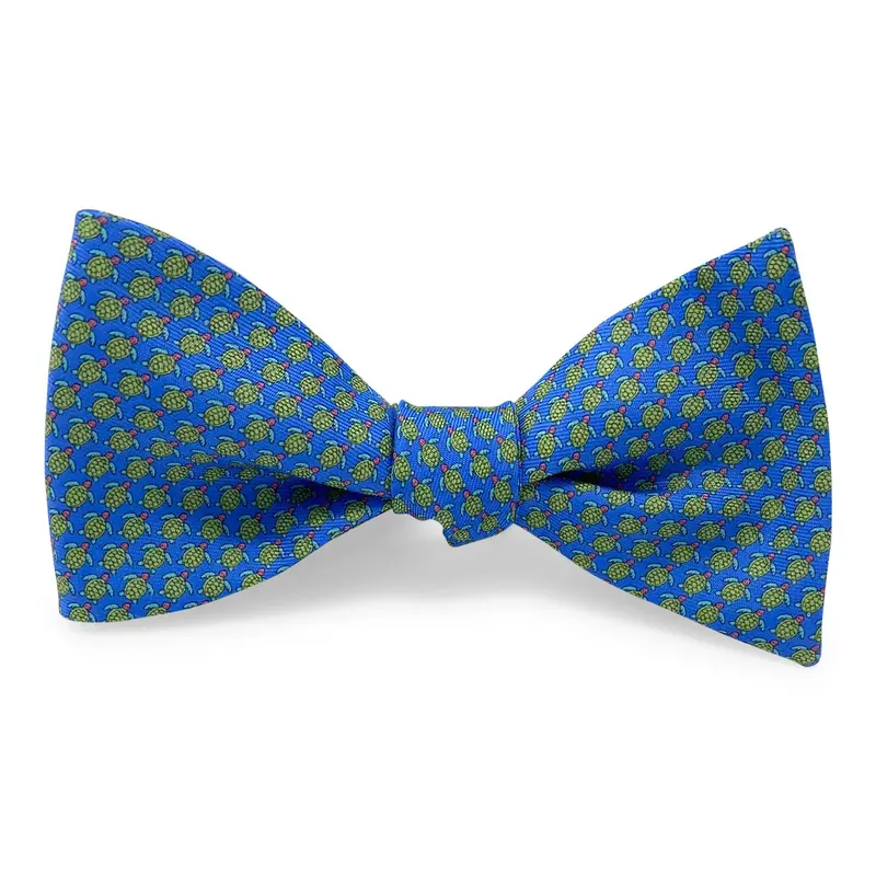 Tortuga Blue Bow Accessory 1