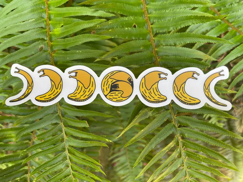 Transparent Banana Slug Phases Of The Moon Sticker 1